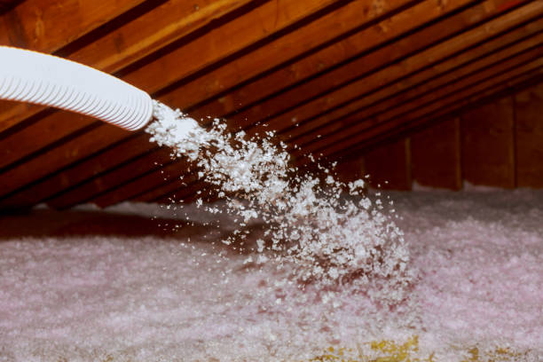 Best Insulation Installation Services in Pierre Part, LA