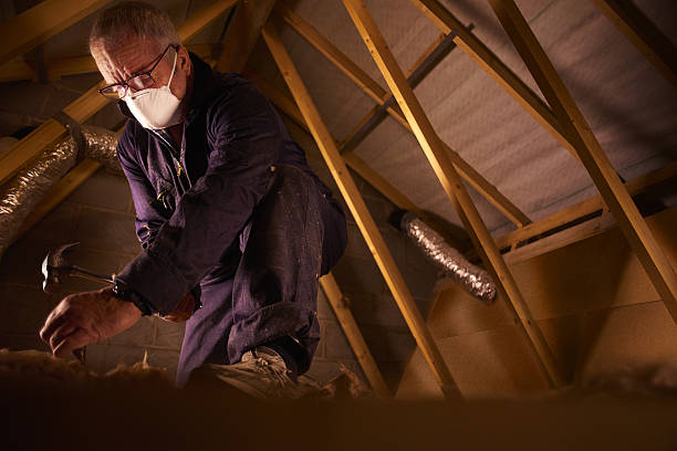 Best Specialty Insulation in Pierre Part, LA